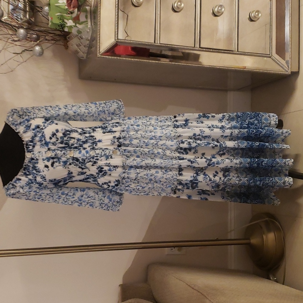 Fig and Flower Blue and White Floral Maxi Dress